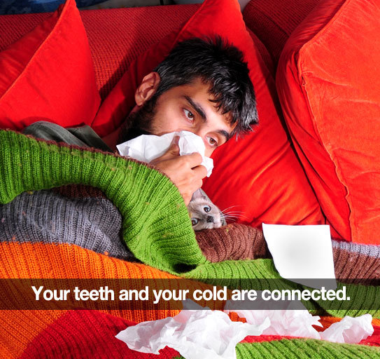 a man sick in bed with text "your teeth and cold are connected" on it