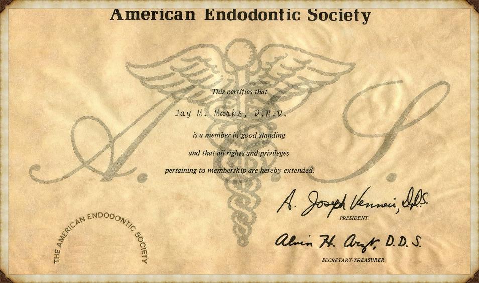Membership The American Endodontic Society